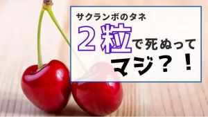 大人の無知が子供の命を奪う悲劇！いろんな食べ物の致死量