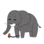 サーカスの象はなぜ逃げない？これは人間にも当てはまる！