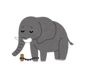 サーカスの象はなぜ逃げない？これは人間にも当てはまる！