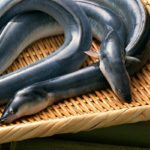 土用の丑の日にウナギを食べる理由とは？夏はウナギ屋の客足が落ちて困るから？