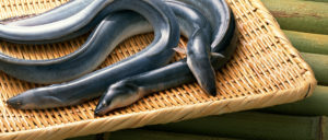 土用の丑の日にウナギを食べる理由とは？夏はウナギ屋の客足が落ちて困るから？