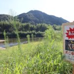 川での水遊びに注意！膝下の水深でも危険が潜んでいる？