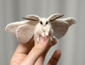 カイコは人間が飼っているだけで自然界にはいない？