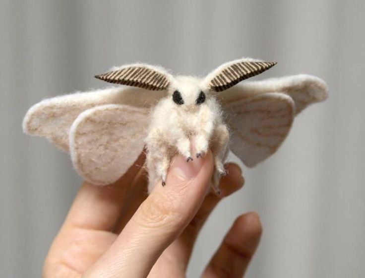 カイコは人間が飼っているだけで自然界にはいない？