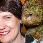 鳥カカポに「記録的な繁殖期」、残り147羽で生存が脅かされる珍種