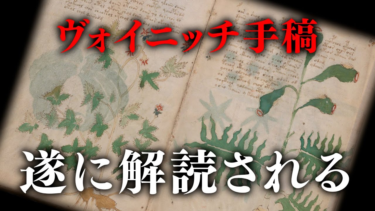 ヴォイニッチ手稿が「古いトルコ語」で書かれている説が浮上！解読の謎を解き明かす